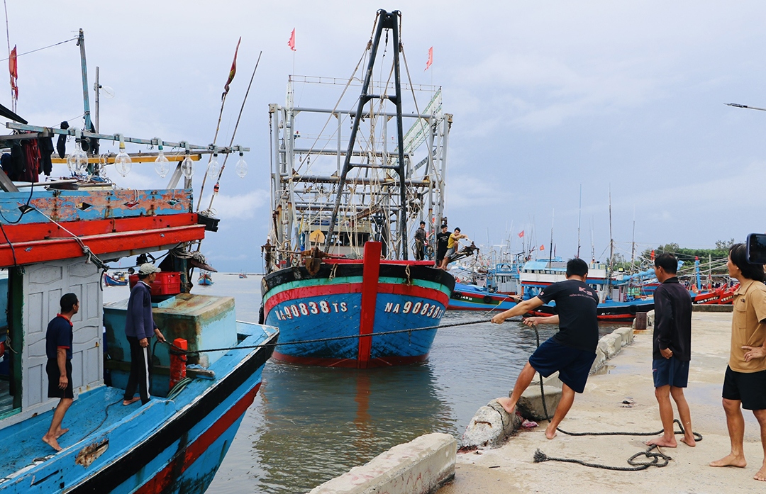 Quảng Ngãi: Tạm dừng tuyến vận tải khách Sa Kỳ- Lý Sơn, cấm tàu thuyền ra khơi